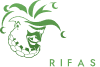Mr Yoker Rifas